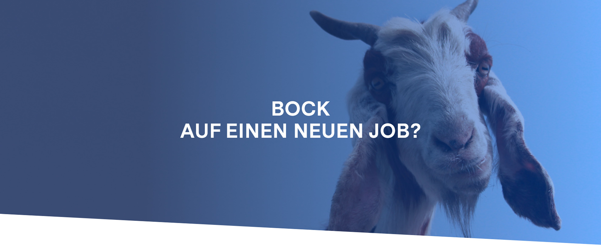 stellenangebote